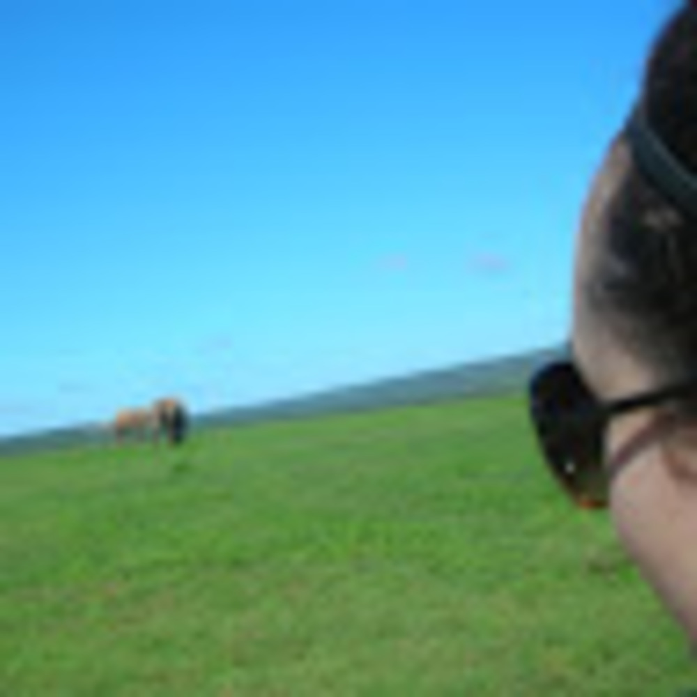 Meet your Posher, Liz